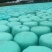 黄储饲料