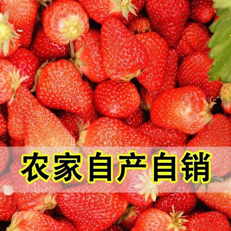 农家自产自销,新鲜草莓烘焙,奶茶蛋糕奶茶店水果店