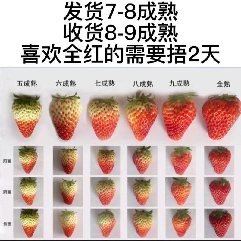 农家自产自销,新鲜草莓烘焙,奶茶蛋糕奶茶店水果店