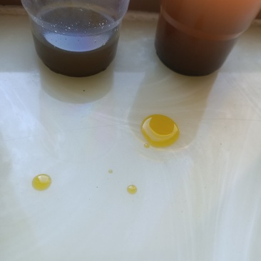 非转基因油菜籽