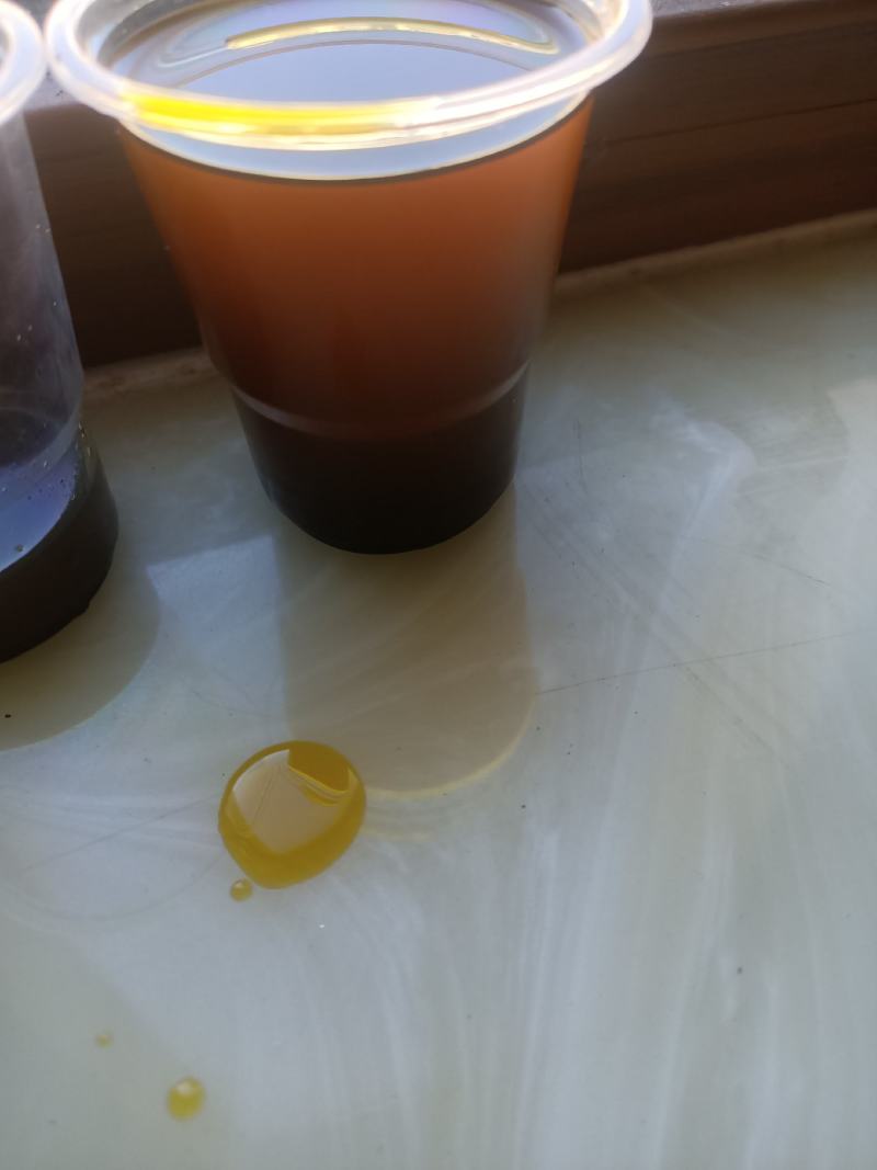 非转基因油菜籽