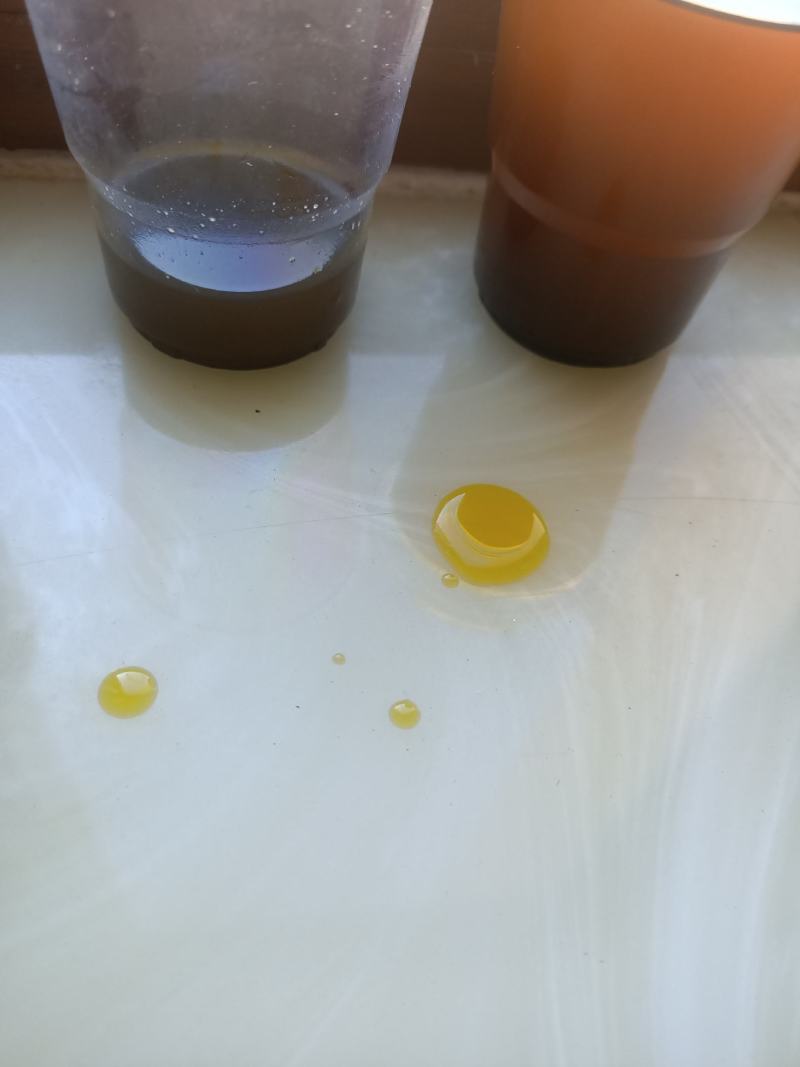 非转基因油菜籽