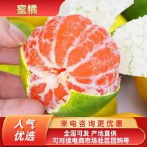 《预售》云南蜜橘电商果，社团市场商超外贸各种大型平台