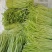 【推荐】精品芦蒿白蒿产地直发全国代发偏执保障欢迎