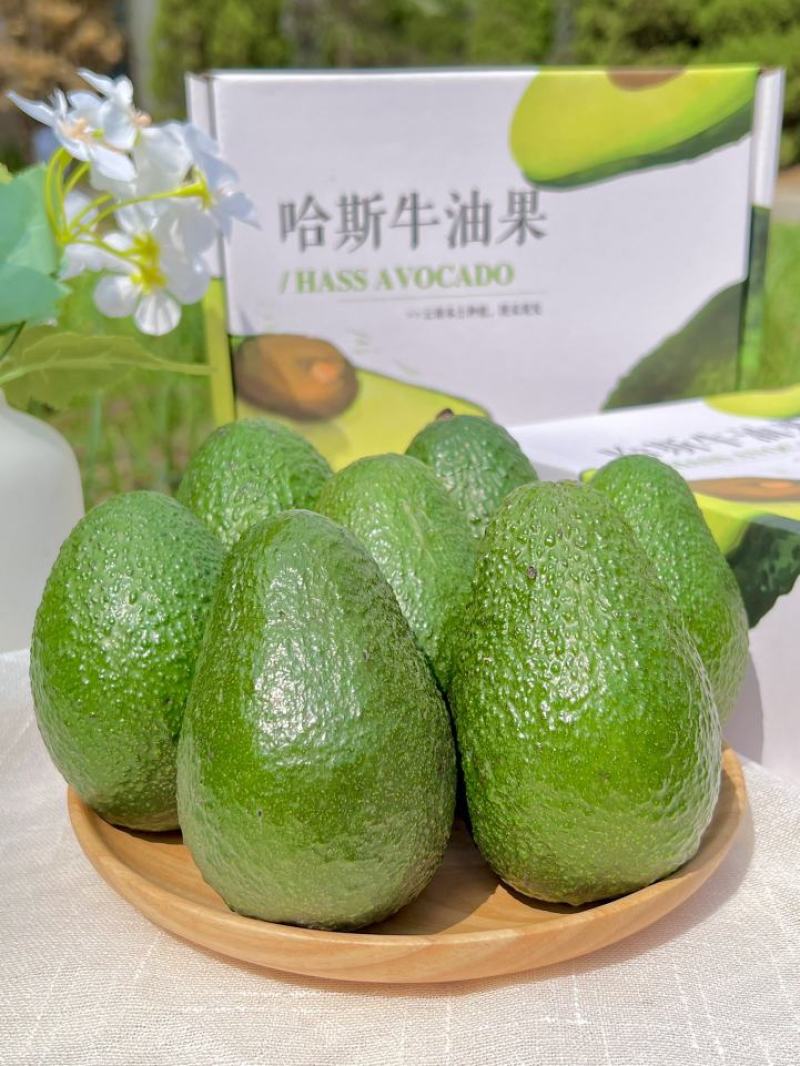 一件代发货云南孟连哈斯牛油果果肉很柔软香滑不腻口感顺滑