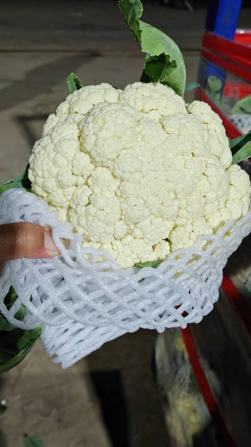【牛商推荐】菜花1斤紧密乳白可对接商超团购量大从优