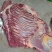 特价马肉便宜出，有量的来谈各种价位各种品质，欢迎联系