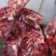 特价马肉便宜出，有量的来谈各种价位各种品质，欢迎联系