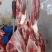 特价马肉便宜出，有量的来谈各种价位各种品质，欢迎联系