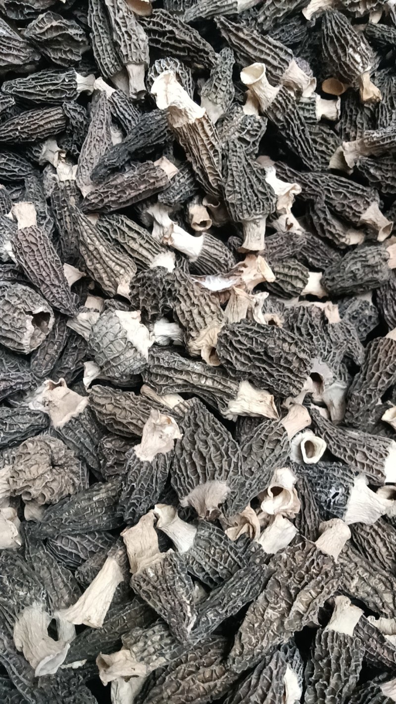 羊肚菌干货一箱也是批发价按需分捡按客户要求定制款