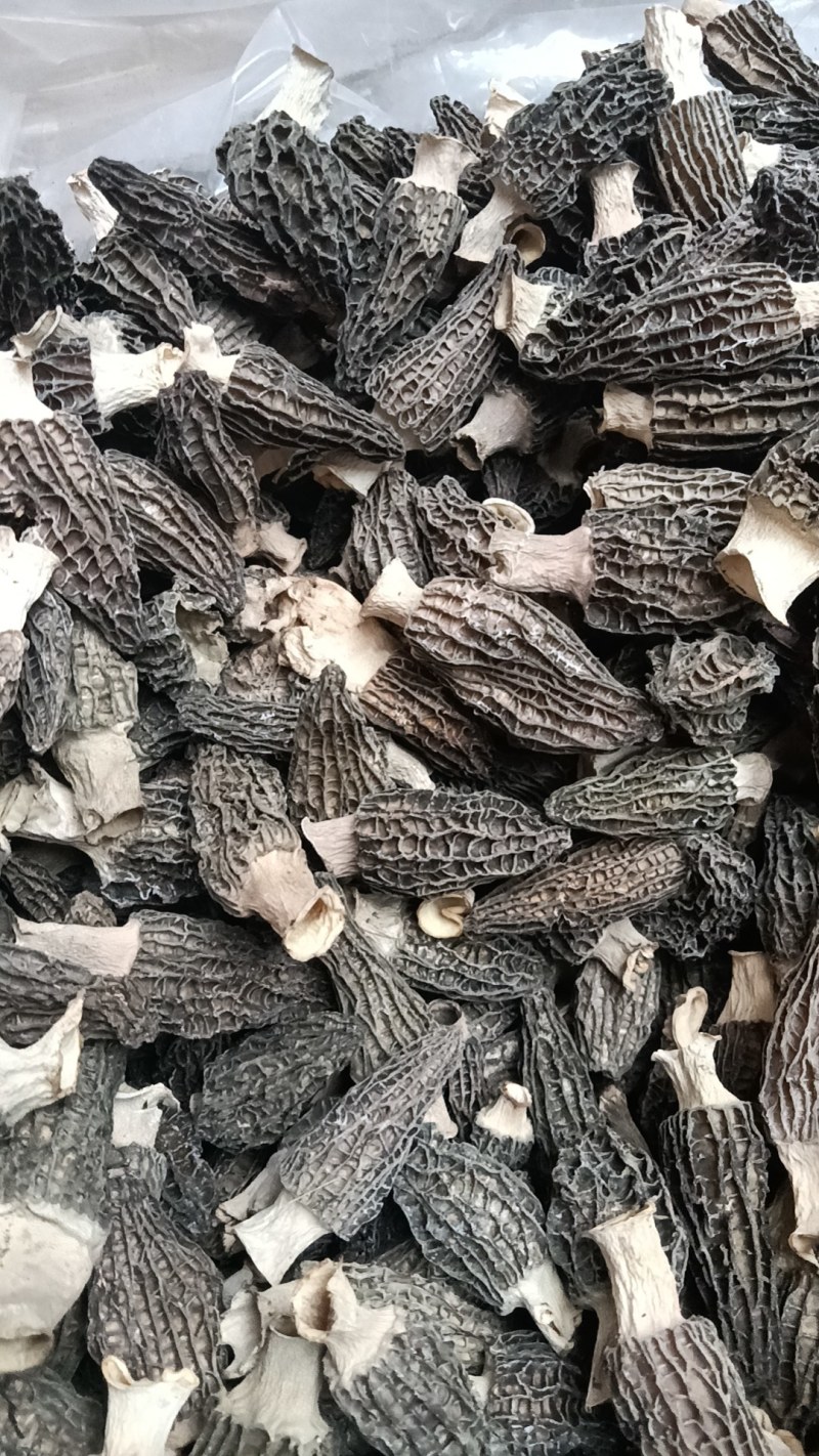 羊肚菌干货一箱也是批发价按需分捡按客户要求定制款