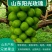 葡萄青岛阳光玫瑰，货源充足，产地直销，可视频看货