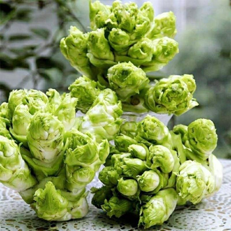 儿菜大量上市，正宗味道好，欢迎进店当天发货