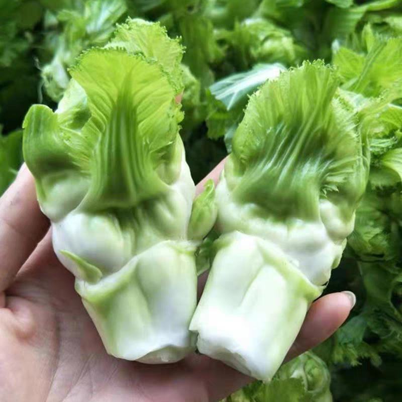 儿菜大量上市，正宗味道好，欢迎进店当天发货
