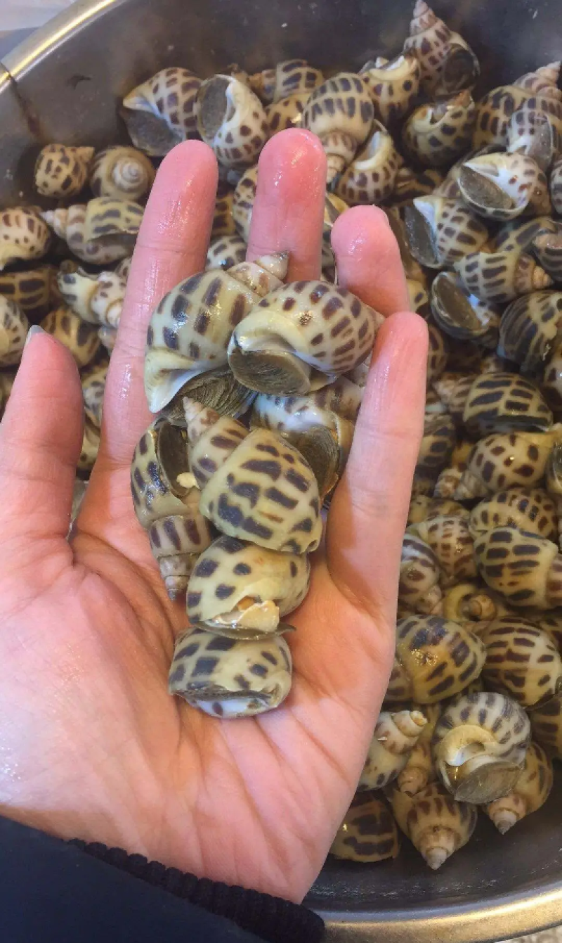 麻辣花螺捞汁小海鲜