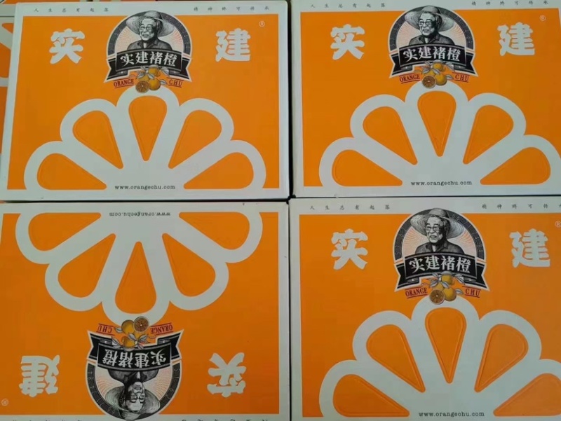 云南实建褚橙新鲜上市
