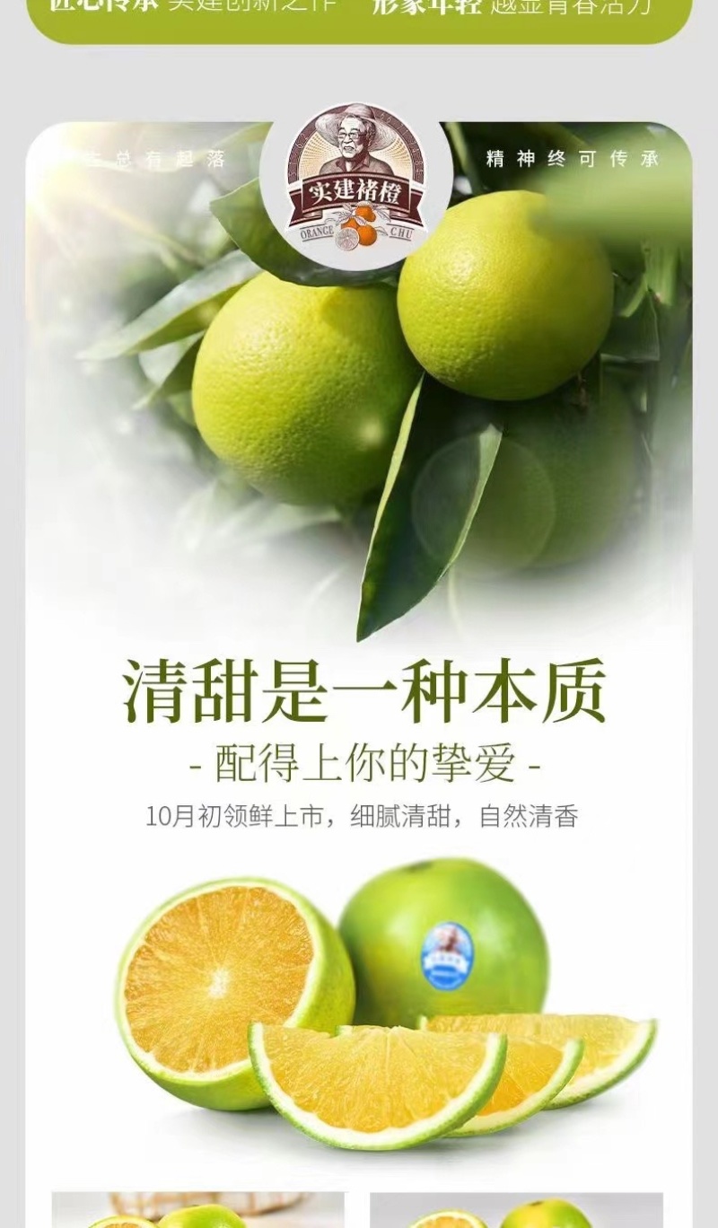 云南实建褚橙新鲜上市