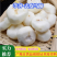 【精品】荸荠去皮珍珠马蹄，一手货源产地直发量大从优