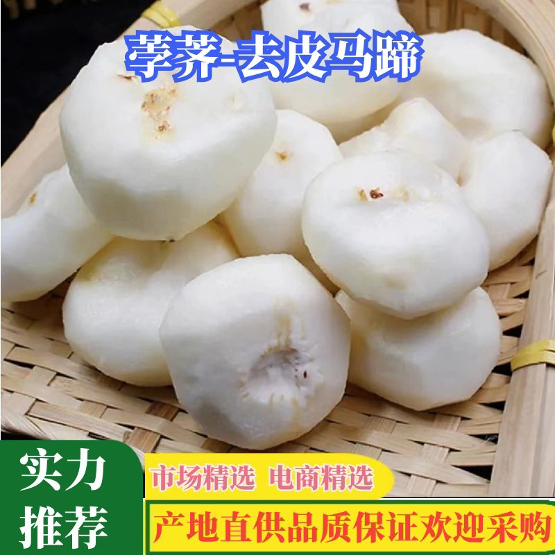 【精品】荸荠去皮珍珠马蹄，一手货源产地直发量大从优
