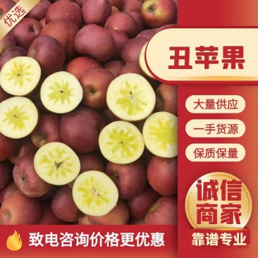 昭通丑苹果冰糖心华硕新世纪红露苹果整车代发