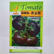 黑番茄种子黑金刚无线生长早熟品种口感柿子品种种子