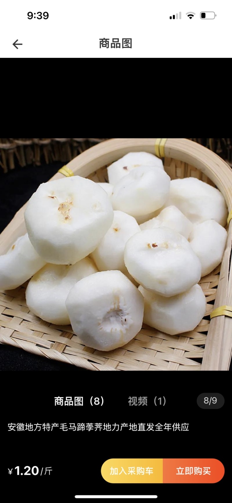 【精品】珍珠水洗马蹄荸荠，一手货源量大从优品质保证