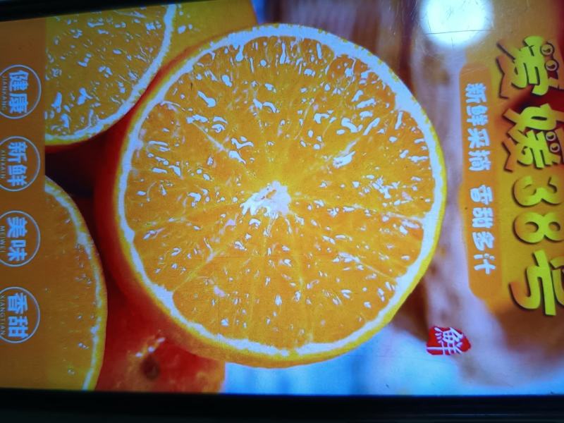 爱媛38果冻橙