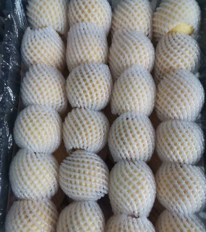 《万人合作商》纸袋酥梨口感脆甜含糖量高现货供应