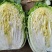 湖北天门精品黄心白菜3到5斤净菜上车个头均匀矮颗货量大备货快