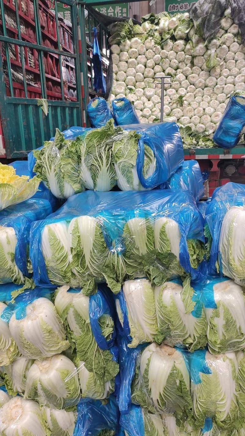 湖北天门精品黄心白菜3到5斤净菜上车个头均匀矮颗货量大备货快