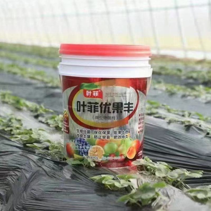 优果丰(膨果上色）