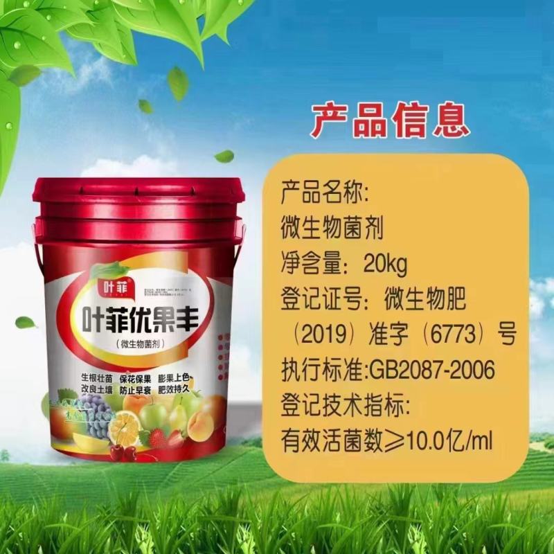 优果丰(膨果上色）
