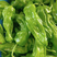 薄皮椒，新鲜青椒货发全国，质量保证