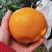 【四川蒲江耙耙柑】大量新鲜上市，产地直发对接全国电商批发