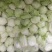 白菜上市，小五零，润田五号开卖，高筒，半高筒世初步上市