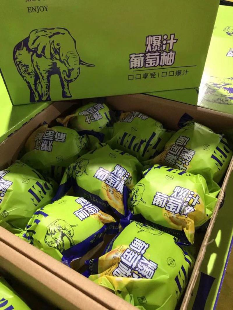 黄金葡萄柚青媛葡萄柚随机批发代发直播电商团购一件代发包邮