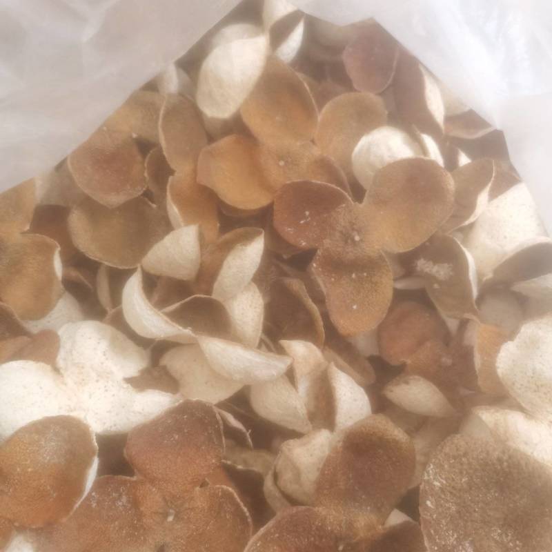随时有货陈皮厂家直销确保正品品质