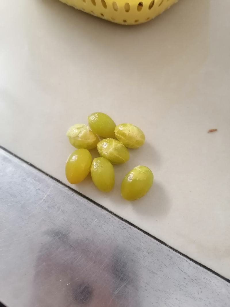 银杏果（白果）