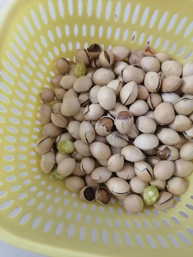 银杏果（白果）