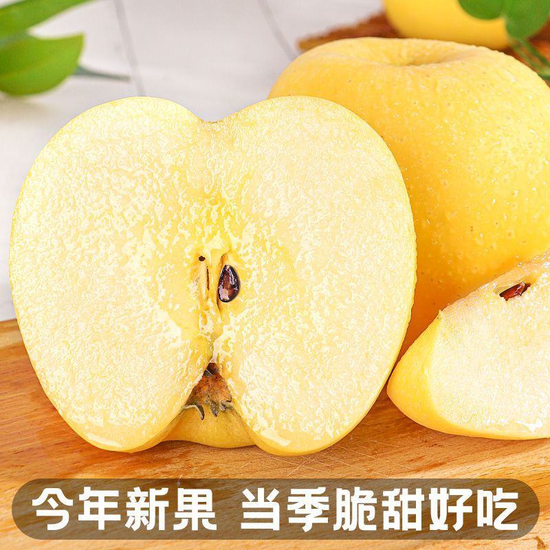 高糖山东烟台威海维纳斯苹果电商一件代发精美礼盒脆甜包邮
