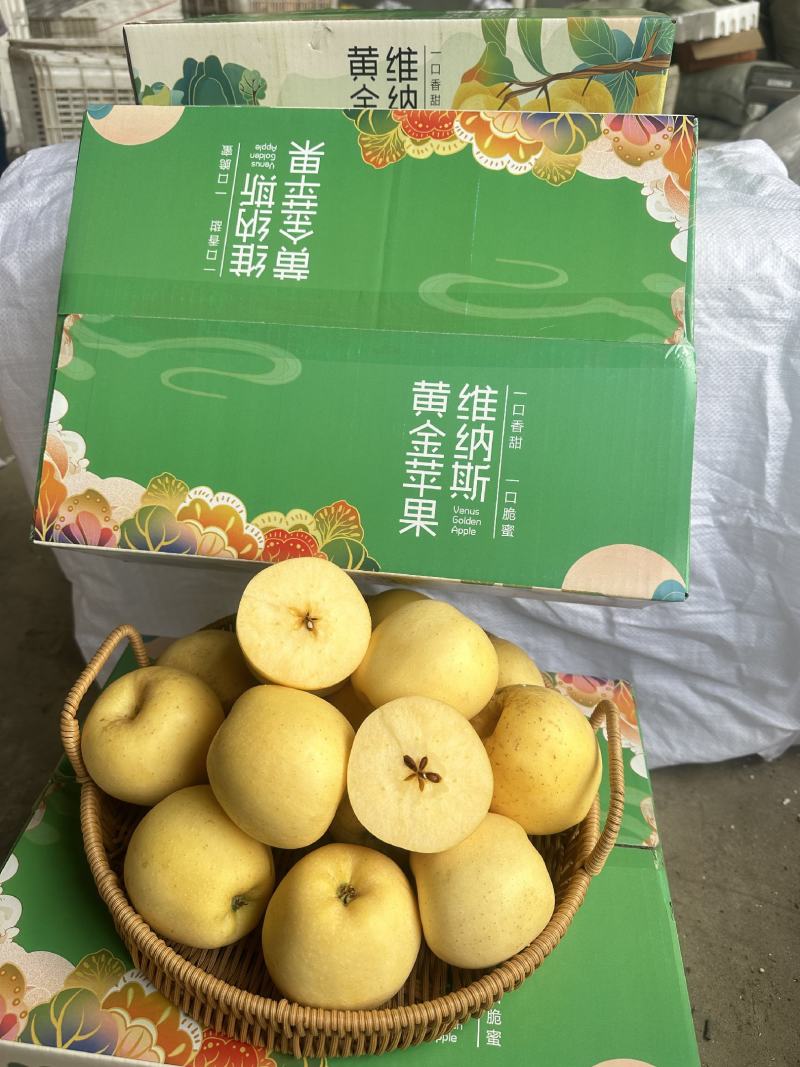 高糖山东烟台威海维纳斯苹果电商一件代发精美礼盒脆甜包邮