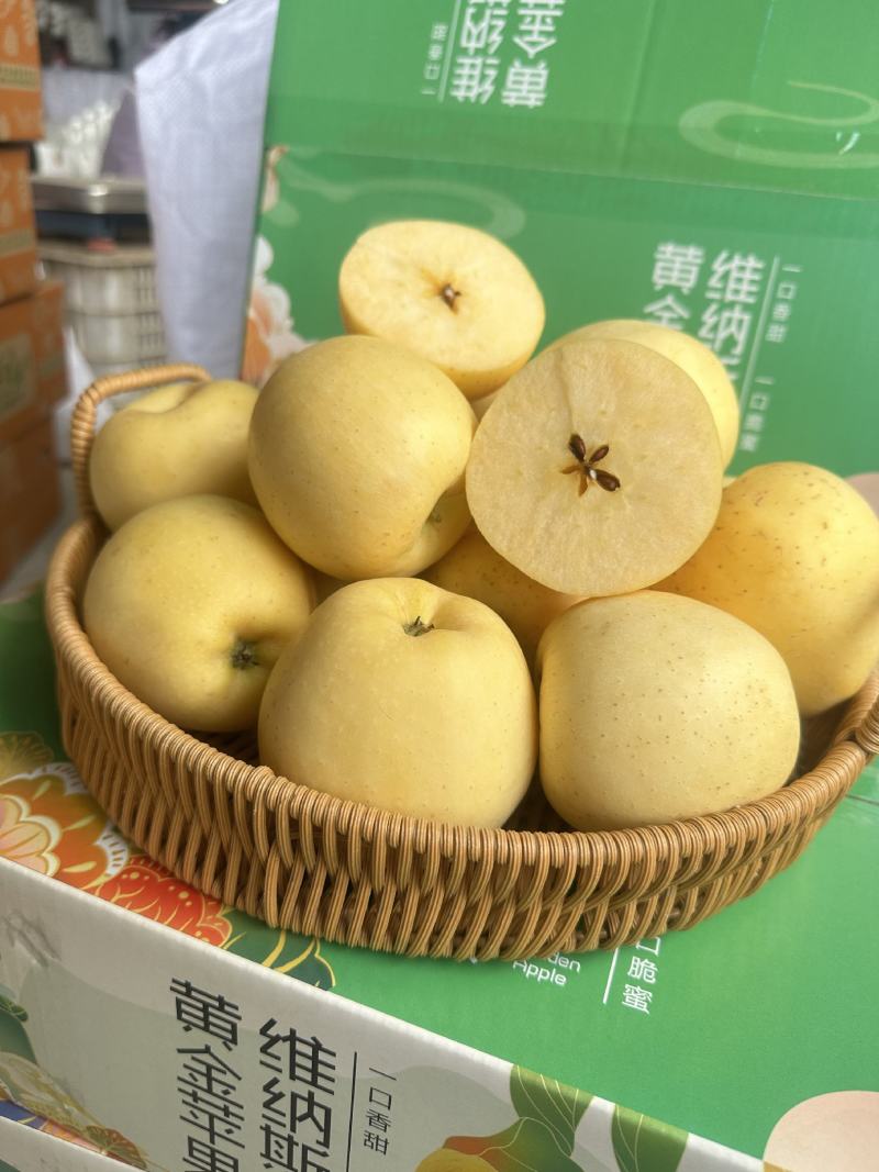 高糖山东烟台威海维纳斯苹果电商一件代发精美礼盒脆甜包邮