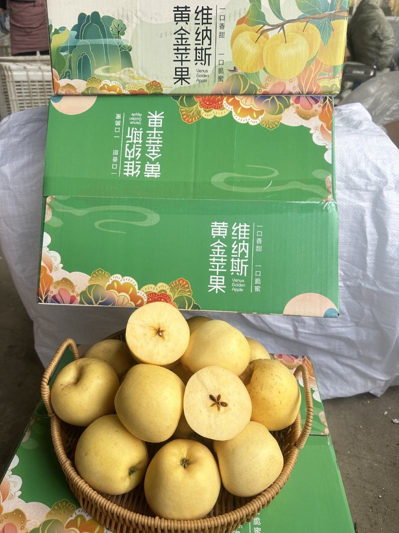 高糖山东烟台威海维纳斯苹果电商一件代发精美礼盒脆甜包邮