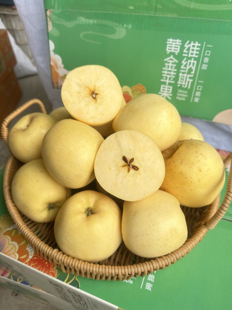 高糖山东烟台威海维纳斯苹果电商一件代发精美礼盒脆甜包邮