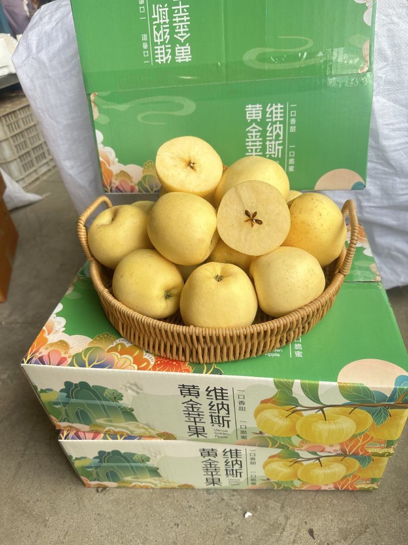 高糖山东烟台威海维纳斯苹果电商一件代发精美礼盒脆甜包邮