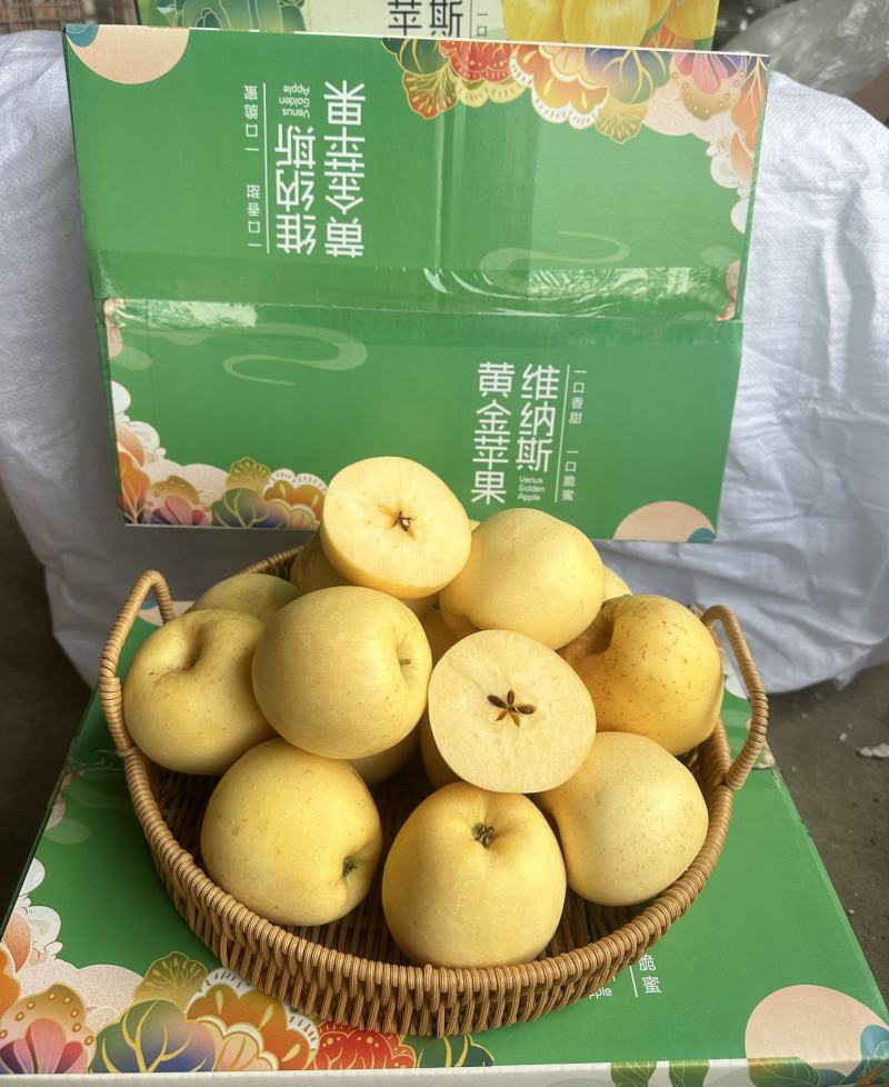高糖山东烟台威海维纳斯苹果电商一件代发精美礼盒脆甜包邮