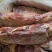 多肉牛小排，一手货源全国冷链运输，
