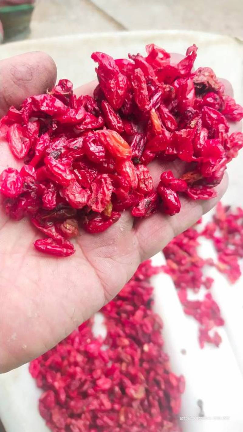 陕西汉中华阳枣皮山茱萸肉中药材野生新货无硫正品可供各种品