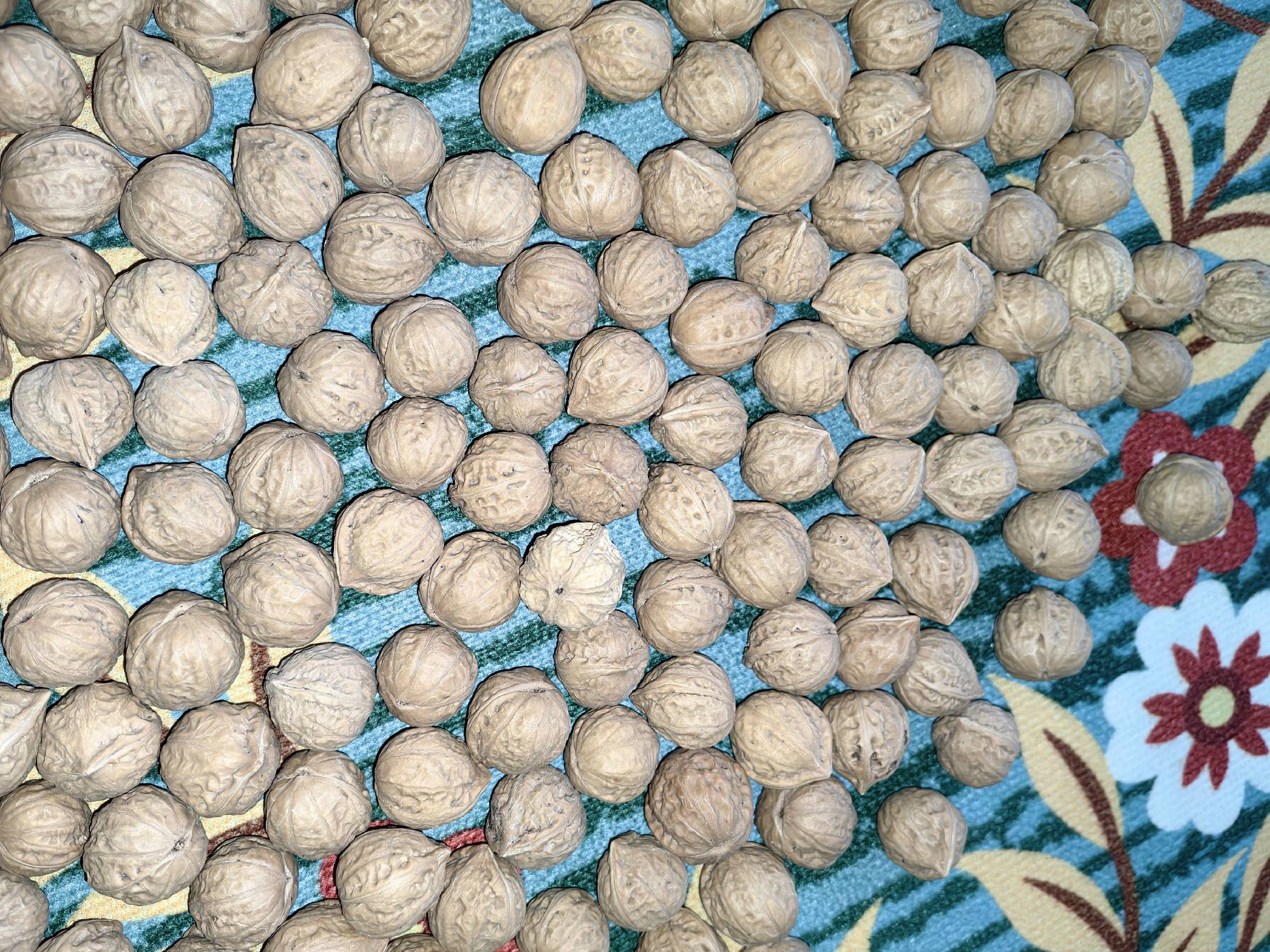 卡通风格插画展示核桃融入日常生活场景,如早餐碗、健身包、办公桌等,体现健康生活方式 核桃与健康生活插画