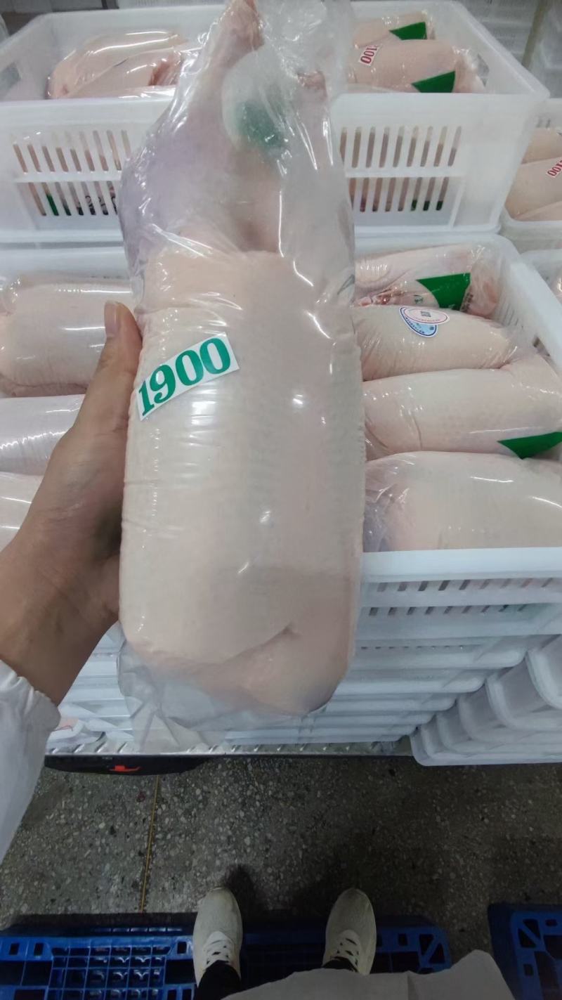白条鸭各种规格都有货处理干净工厂直发全新货